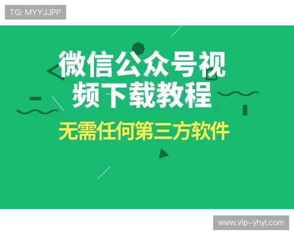 壹号官方下载指南，详细步骤帮助用户轻松完成软件下载